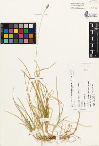 SW_BNB_s3080-04544_IMG-0000000001