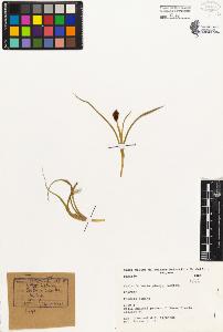 SW_BNB_s3080-04545_IMG-0000000001