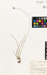 SW_BNB_s3080-04547_IMG-0000000001
