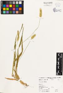 SW_BNB_s3080-04553_IMG-0000000001