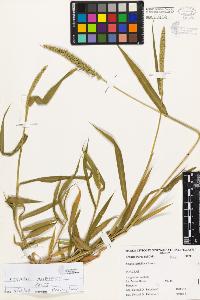 SW_BNB_s3080-04554_IMG-0000000001