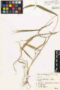 SW_BNB_s3080-04555_IMG-0000000001