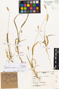 SW_BNB_s3080-04556_IMG-0000000001