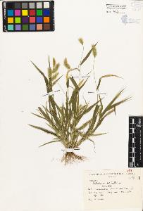 SW_BNB_s3080-04557_IMG-0000000001