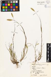 SW_BNB_s3080-04558_IMG-0000000001