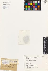 SW_BNB_s3080-04561_IMG-0000000001