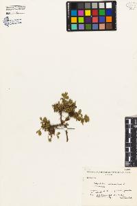 SW_BNB_s3080-04562_IMG-0000000001
