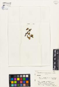 SW_BNB_s3080-04564_IMG-0000000001
