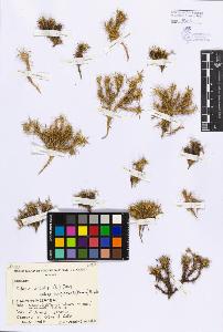SW_BNB_s3080-04566_IMG-0000000001