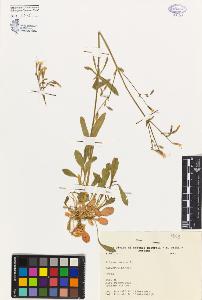 SW_BNB_s3080-04573_IMG-0000000001