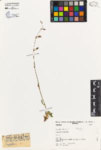 SW_BNB_s3080-04578_IMG-0000000001