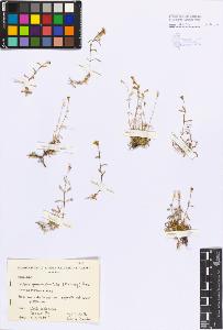 SW_BNB_s3080-04584_IMG-0000000001