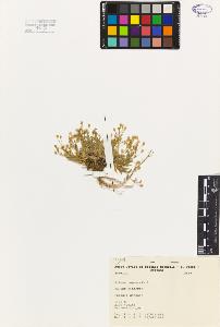 SW_BNB_s3080-04587_IMG-0000000001