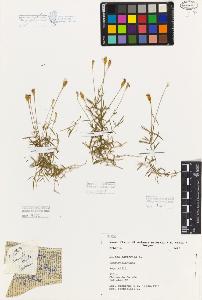 SW_BNB_s3080-04589_IMG-0000000001