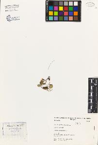 SW_BNB_s3080-04609_IMG-0000000001