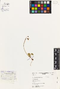 SW_BNB_s3080-04610_IMG-0000000001
