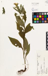 SW_BNB_s3080-04617_IMG-0000000001