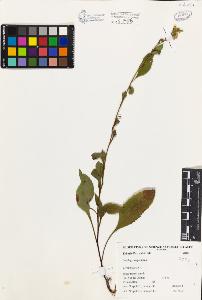 SW_BNB_s3080-04624_IMG-0000000001
