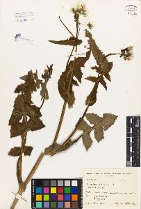 SW_BNB_s3080-04625_IMG-0000000001