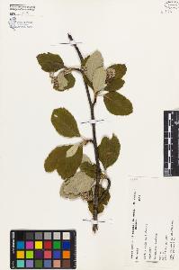 SW_BNB_s3080-04629_IMG-0000000001
