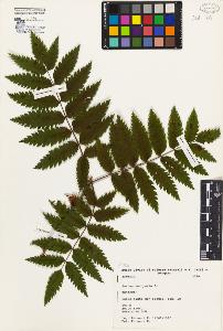 SW_BNB_s3080-04632_IMG-0000000001