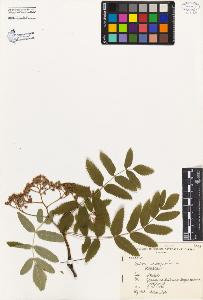 SW_BNB_s3080-04633_IMG-0000000001