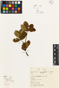 SW_BNB_s3080-04634_IMG-0000000001