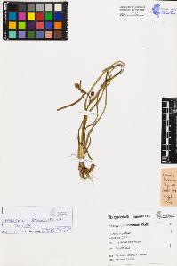 SW_BNB_s3080-04641_IMG-0000000001