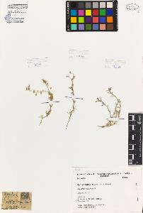 SW_BNB_s3080-04642_IMG-0000000001