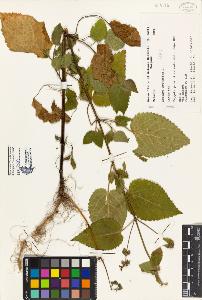 SW_BNB_s3080-04651_IMG-0000000001