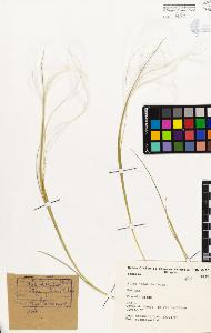 SW_BNB_s3080-04670_IMG-0000000001
