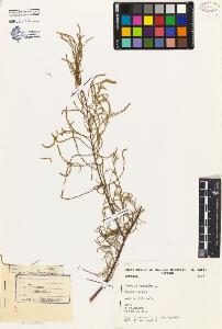 SW_BNB_s3080-04675_IMG-0000000001