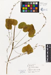 SW_BNB_s3080-04678_IMG-0000000001