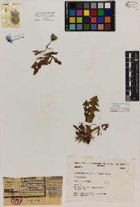SW_BNB_s3080-04686_IMG-0000000001