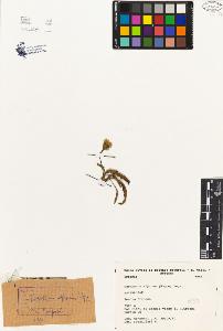 SW_BNB_s3080-04688_IMG-0000000001