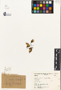 SW_BNB_s3080-04689_IMG-0000000001