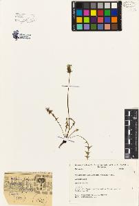 SW_BNB_s3080-04690_IMG-0000000001