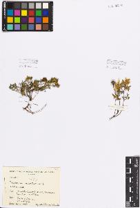 SW_BNB_s3080-04710_IMG-0000000001