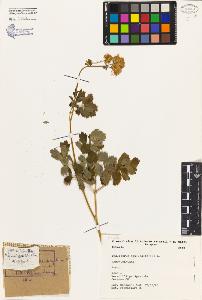 SW_BNB_s3080-04714_IMG-0000000001