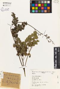SW_BNB_s3080-04719_IMG-0000000001