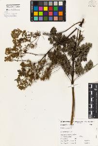 SW_BNB_s3080-04720_IMG-0000000001