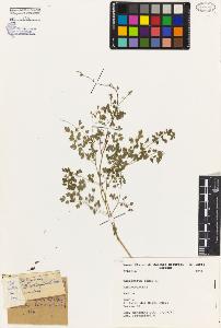 SW_BNB_s3080-04721_IMG-0000000001
