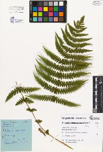 SW_BNB_s3080-04723_IMG-0000000001