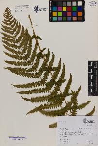 SW_BNB_s3080-04724_IMG-0000000001
