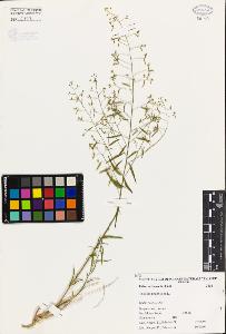 SW_BNB_s3080-04737_IMG-0000000001