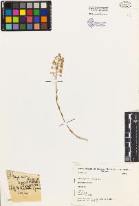 SW_BNB_s3080-04741_IMG-0000000001
