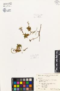 SW_BNB_s3080-04745_IMG-0000000001