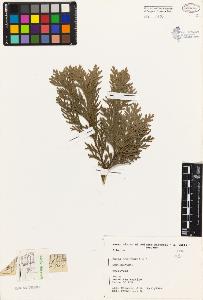 SW_BNB_s3080-04746_IMG-0000000001
