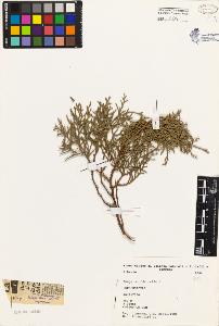 SW_BNB_s3080-04747_IMG-0000000001