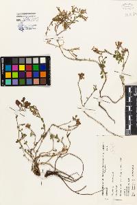 SW_BNB_s3080-04751_IMG-0000000001